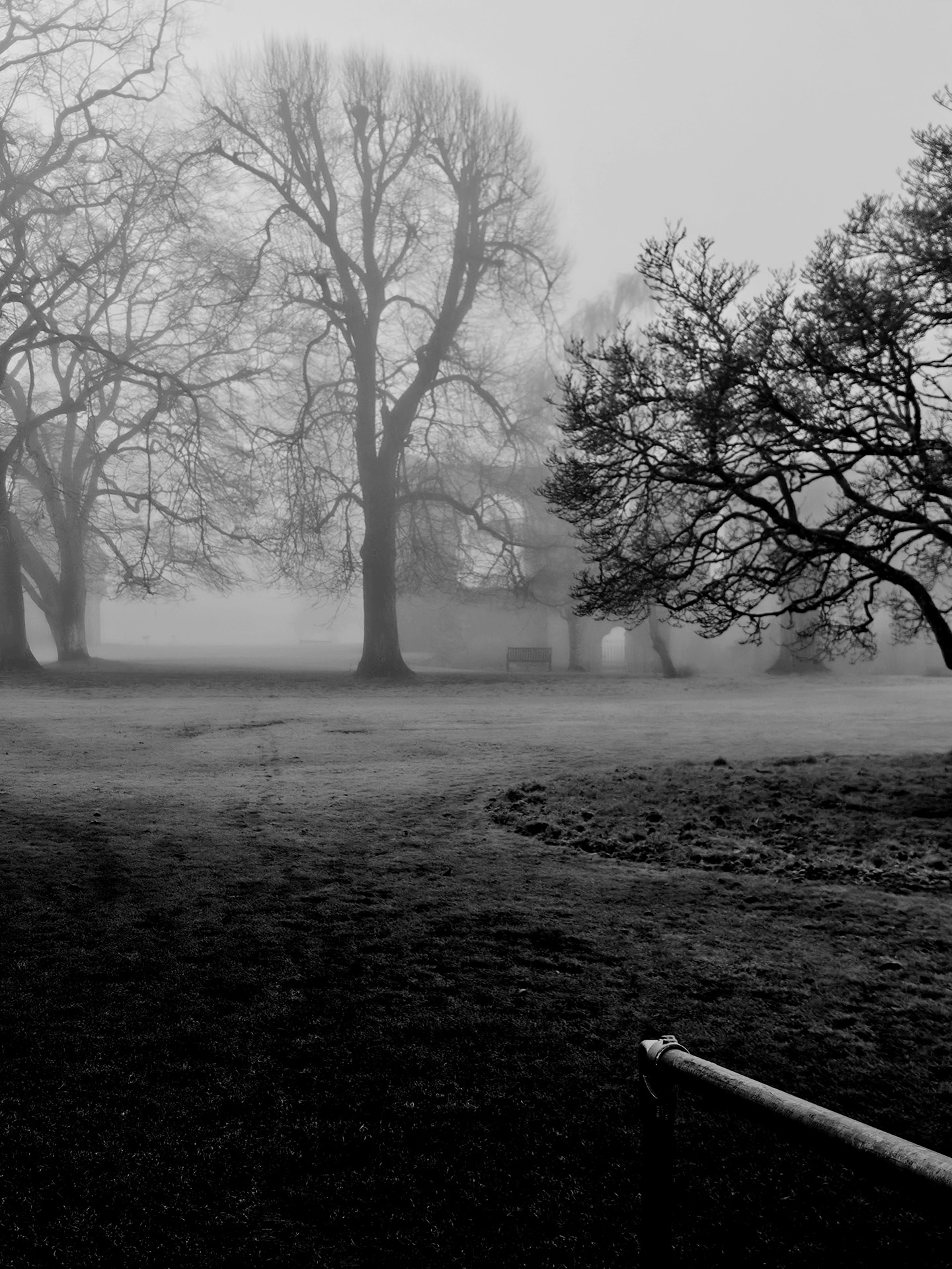 In the Mist 10 image