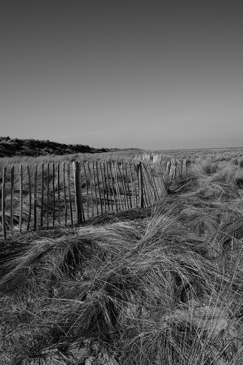 Fence 1 image