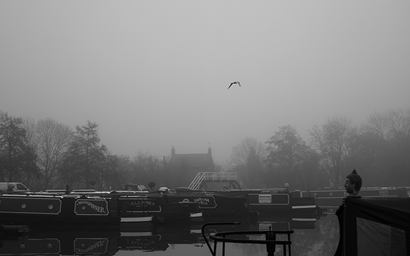 A Misty Morning image