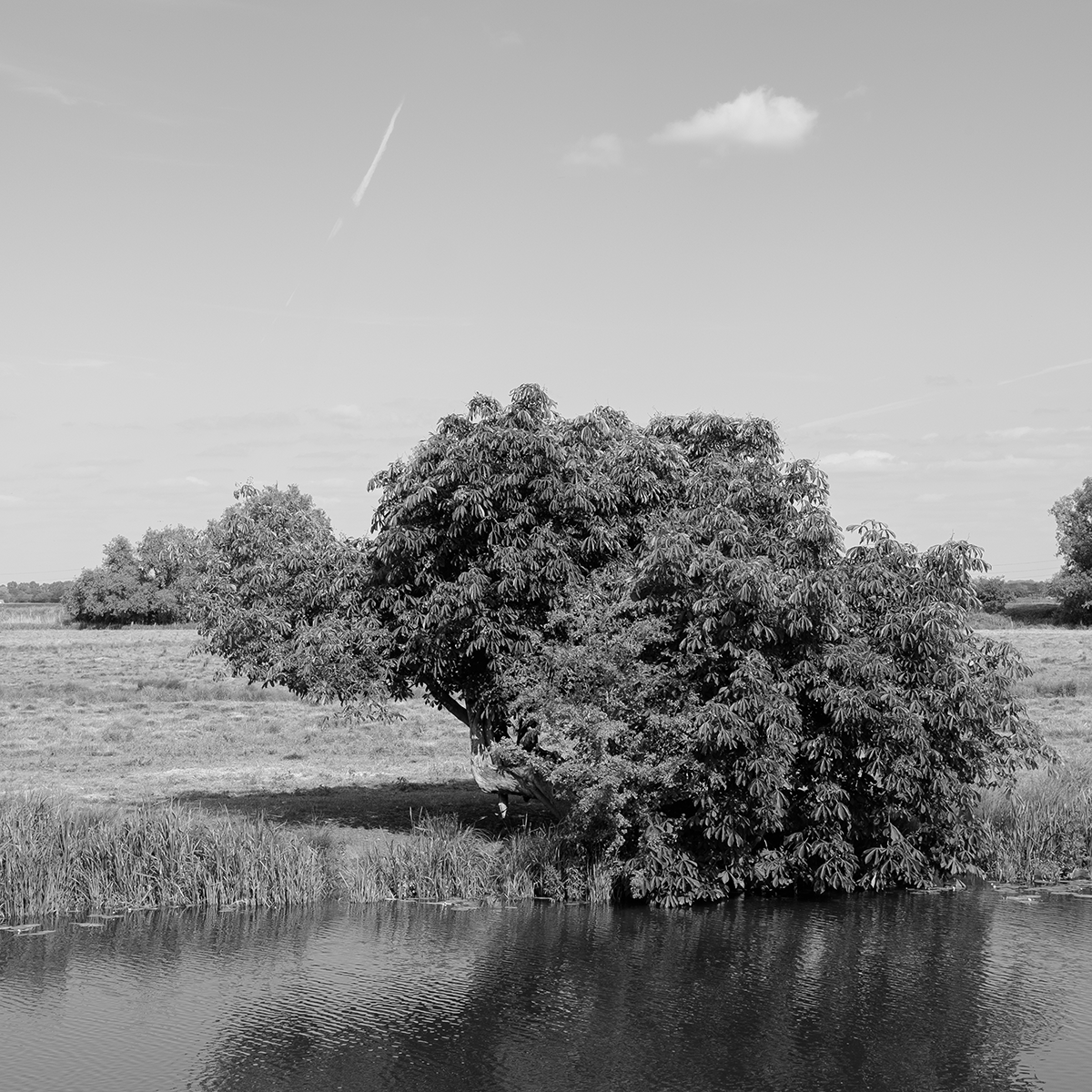 Across the Great Ouse at Ely III link image
