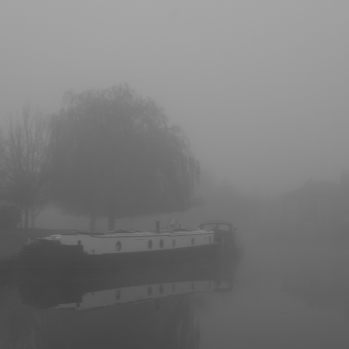 Boat in the Mist - I link image