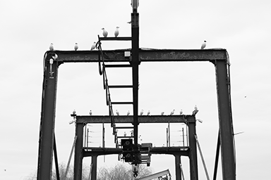 Boat Lift and Birds link image