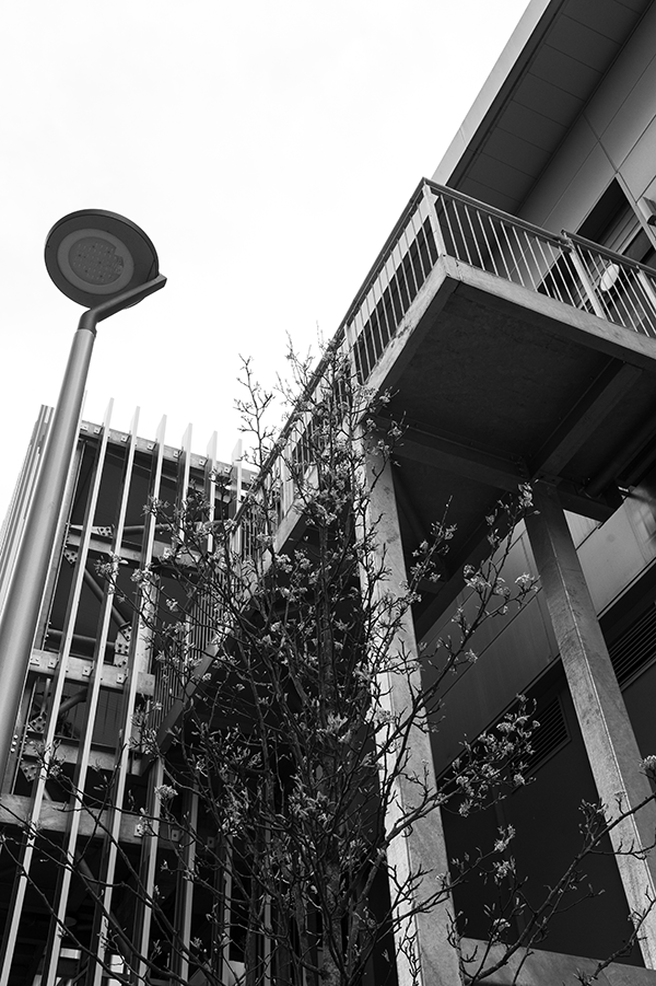 Bristol Building IV image