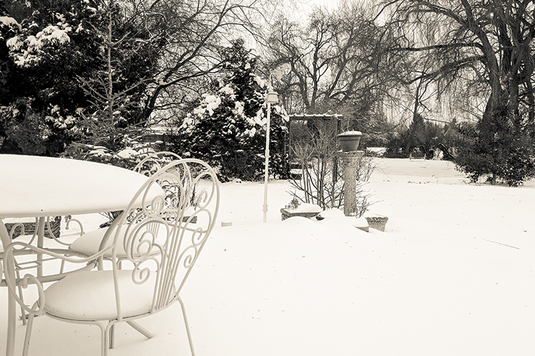 Garden In Snow image