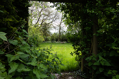 Garden 2021 2021 link image