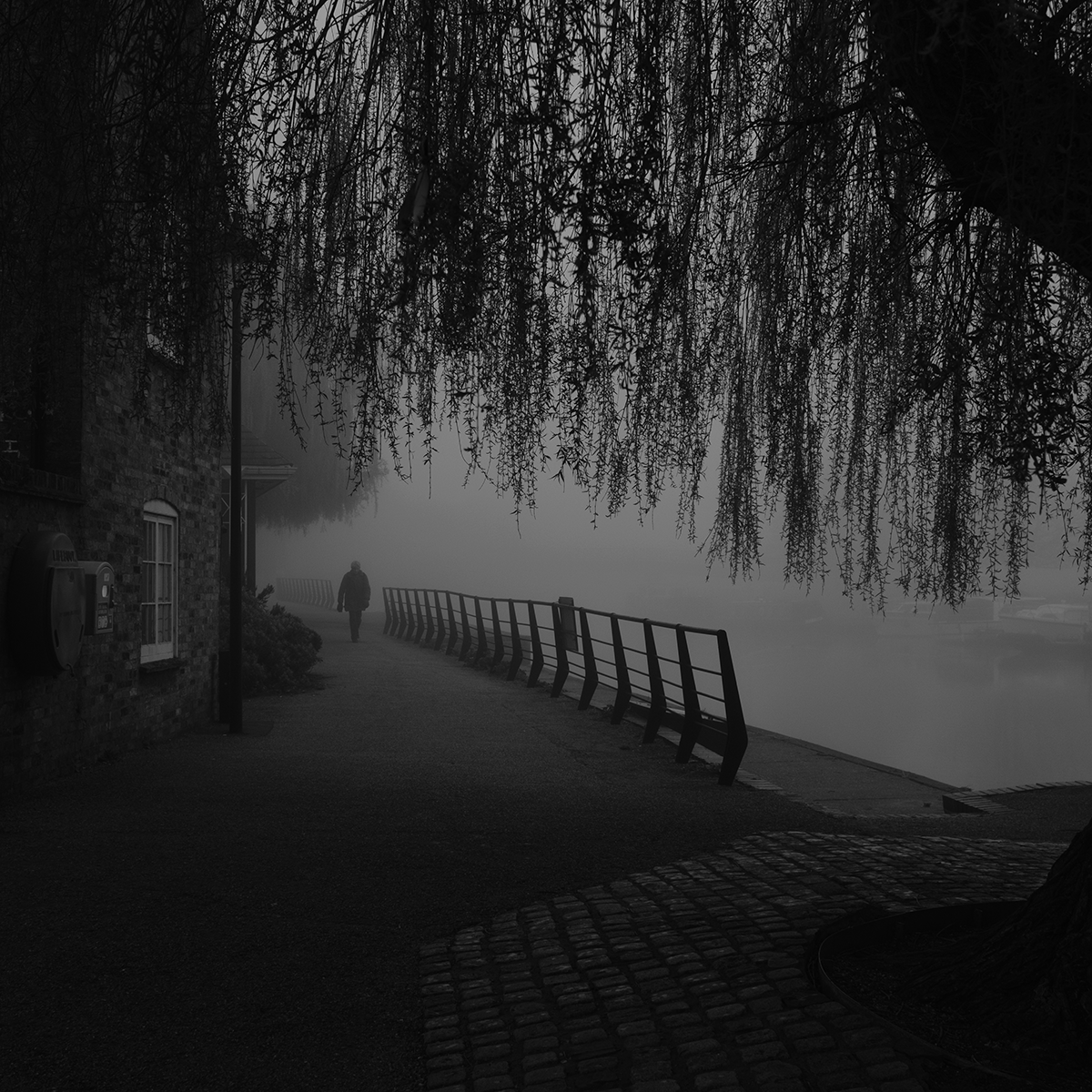 Man in the Mist with Willow link image