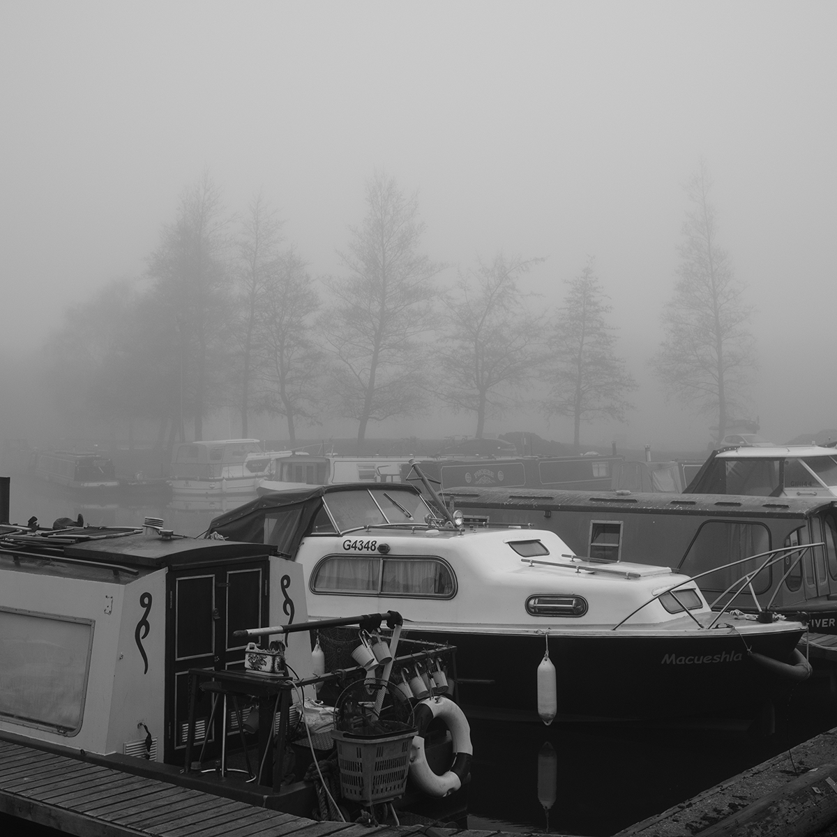 Marina Boats in the Mist II link image