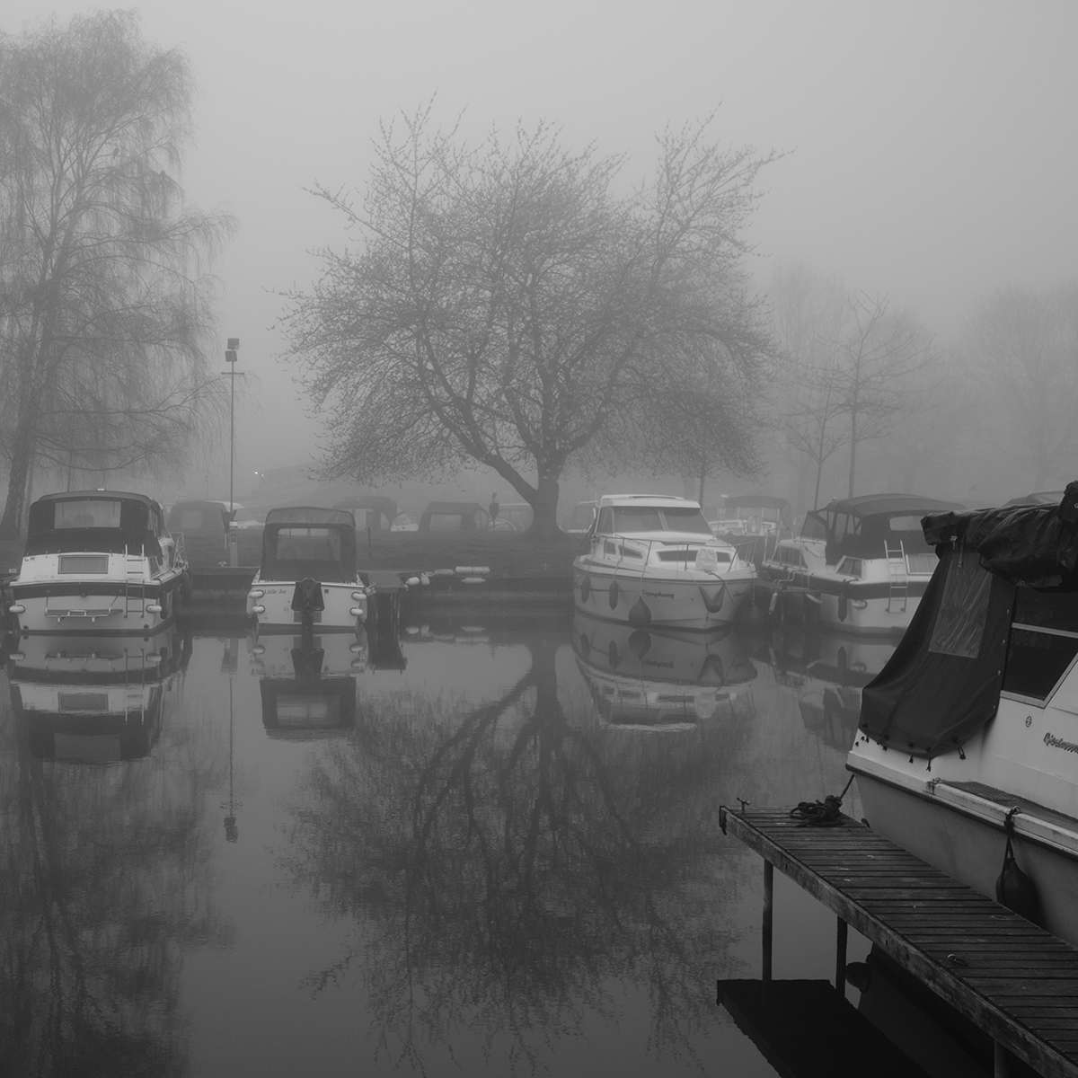 Marina Boats in the Mist I link image