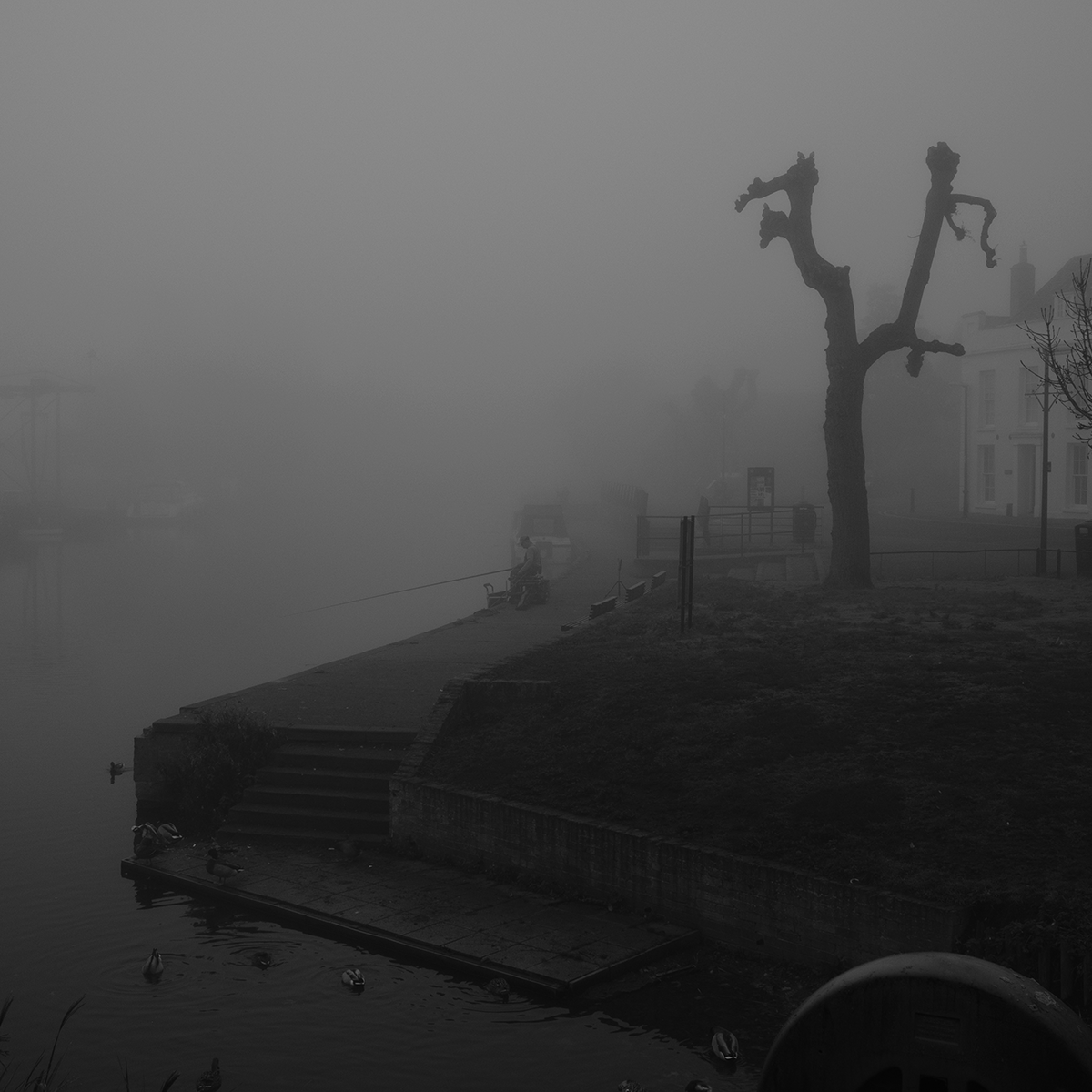 Mist in November - Angler link image