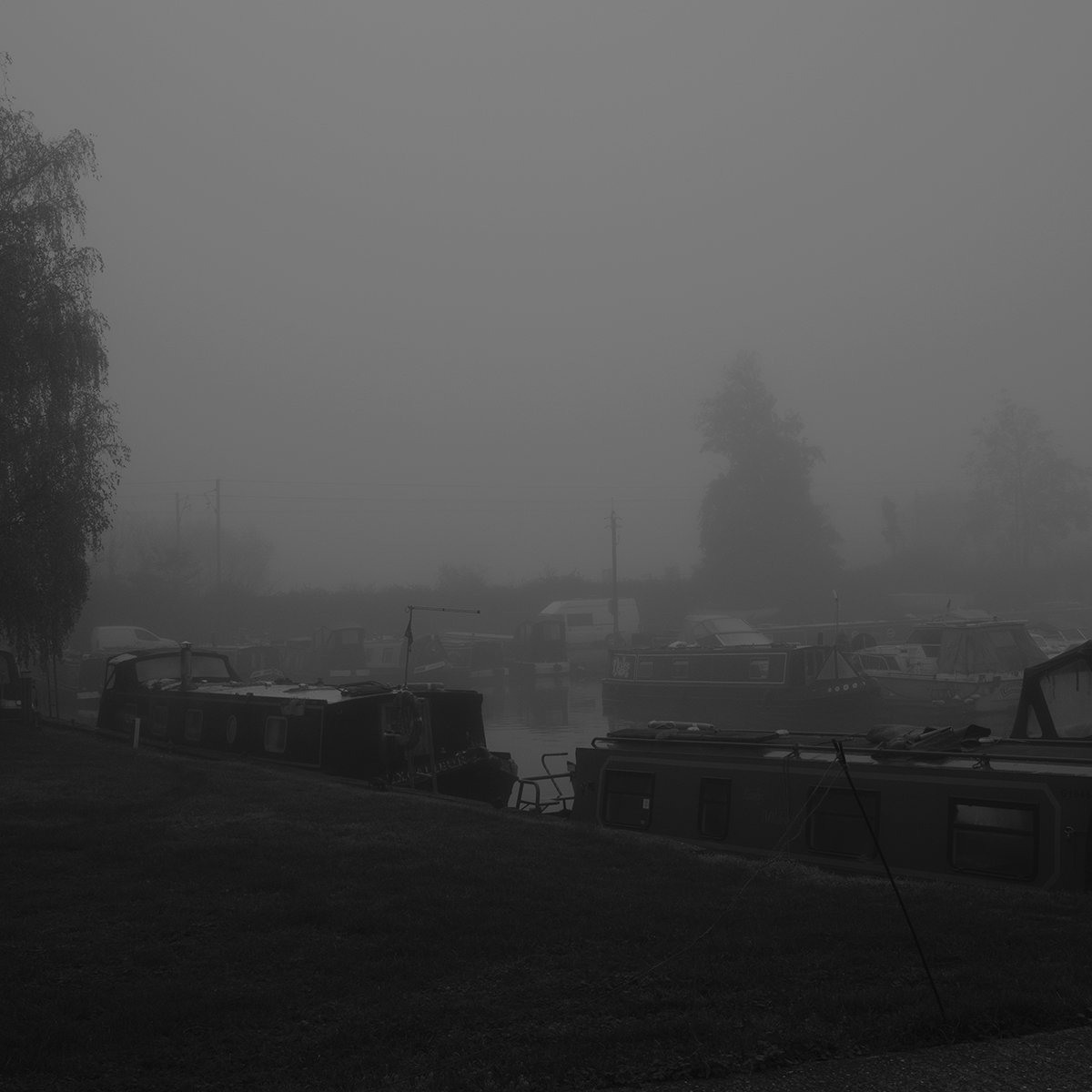 Mist in November - Home link image