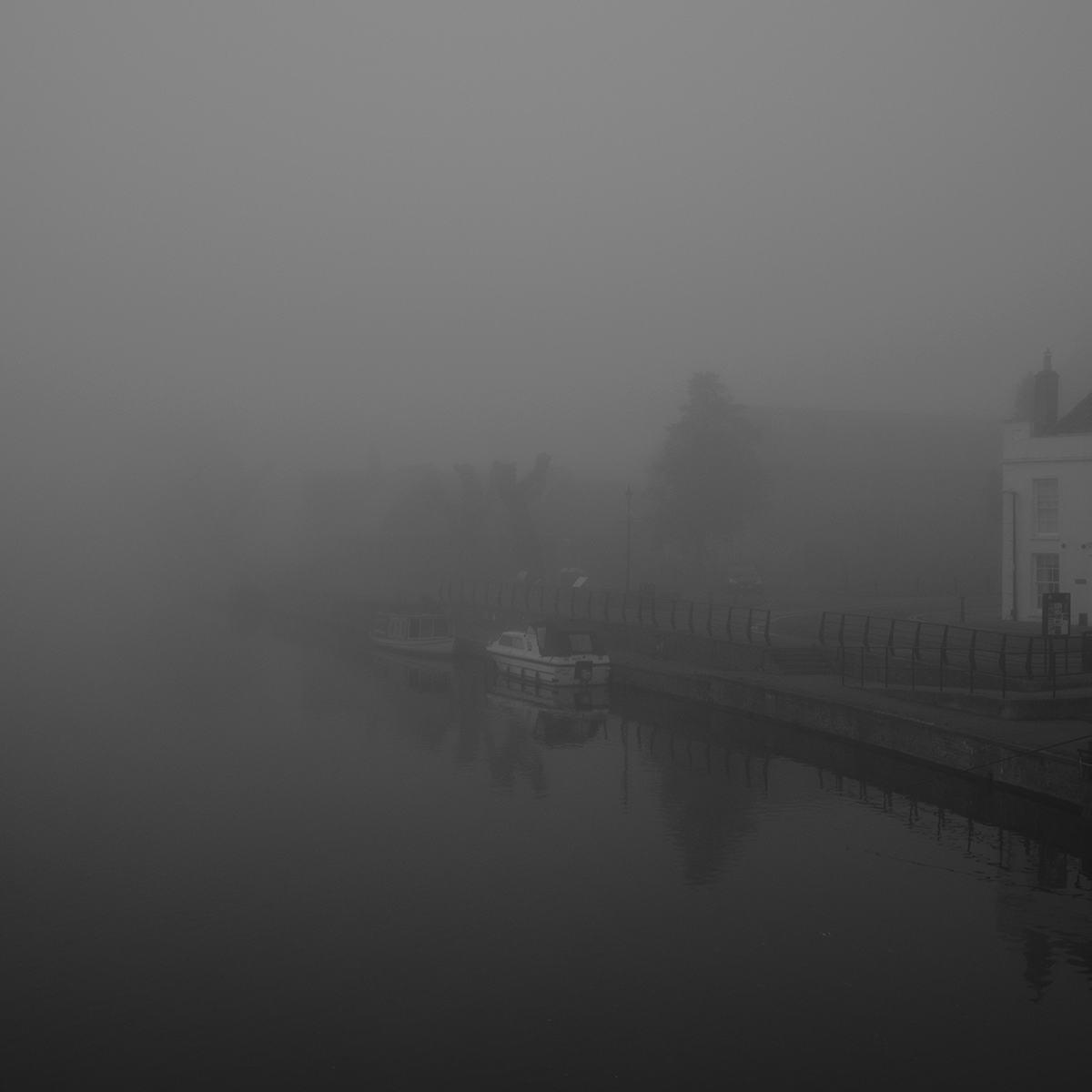 Mist in November VI link image