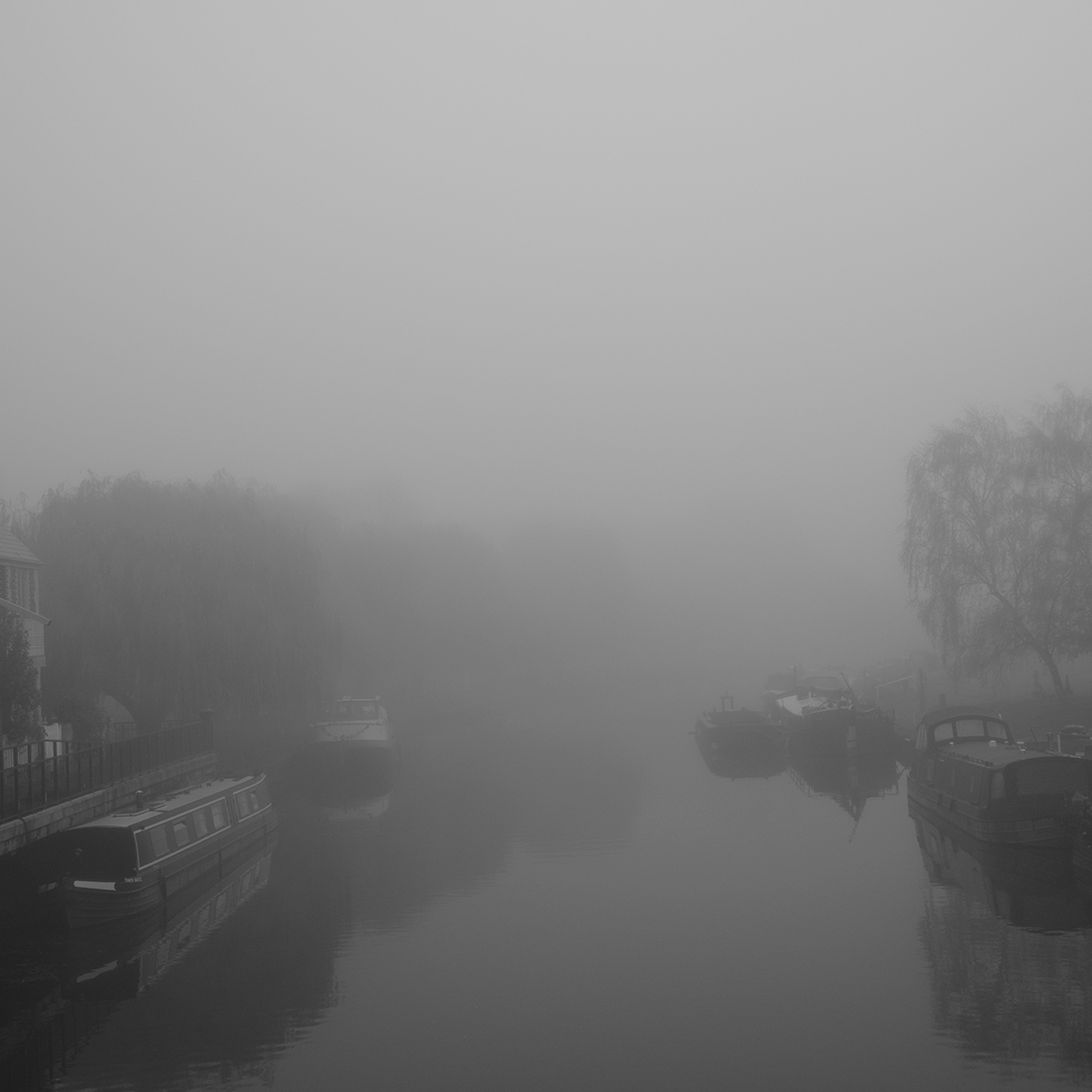 Mist in November V link image
