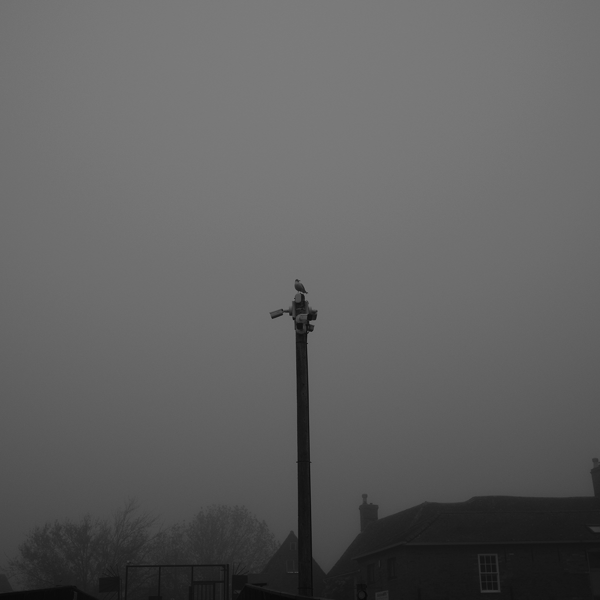 Mist in November - Sentinel I link image