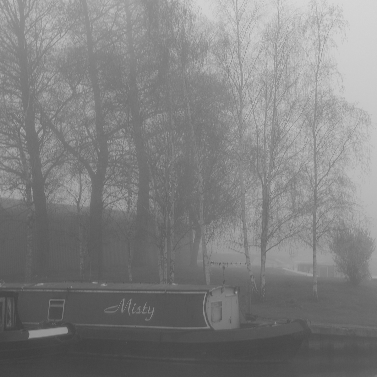 Misty II link image