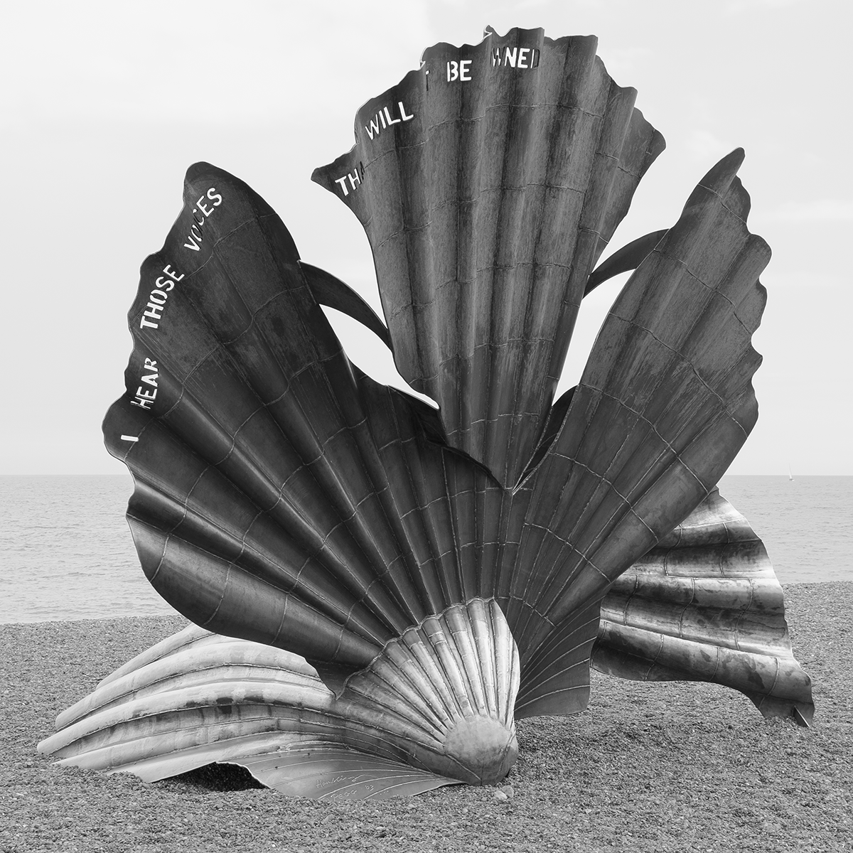 Shell Sculpture link image