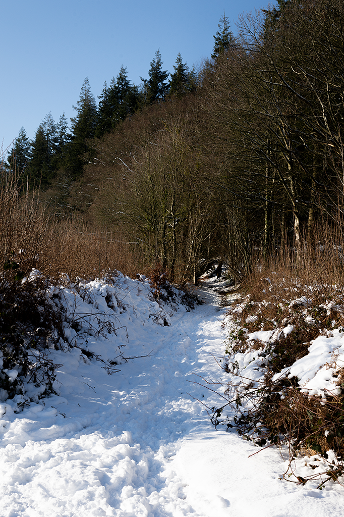 Snow Path image