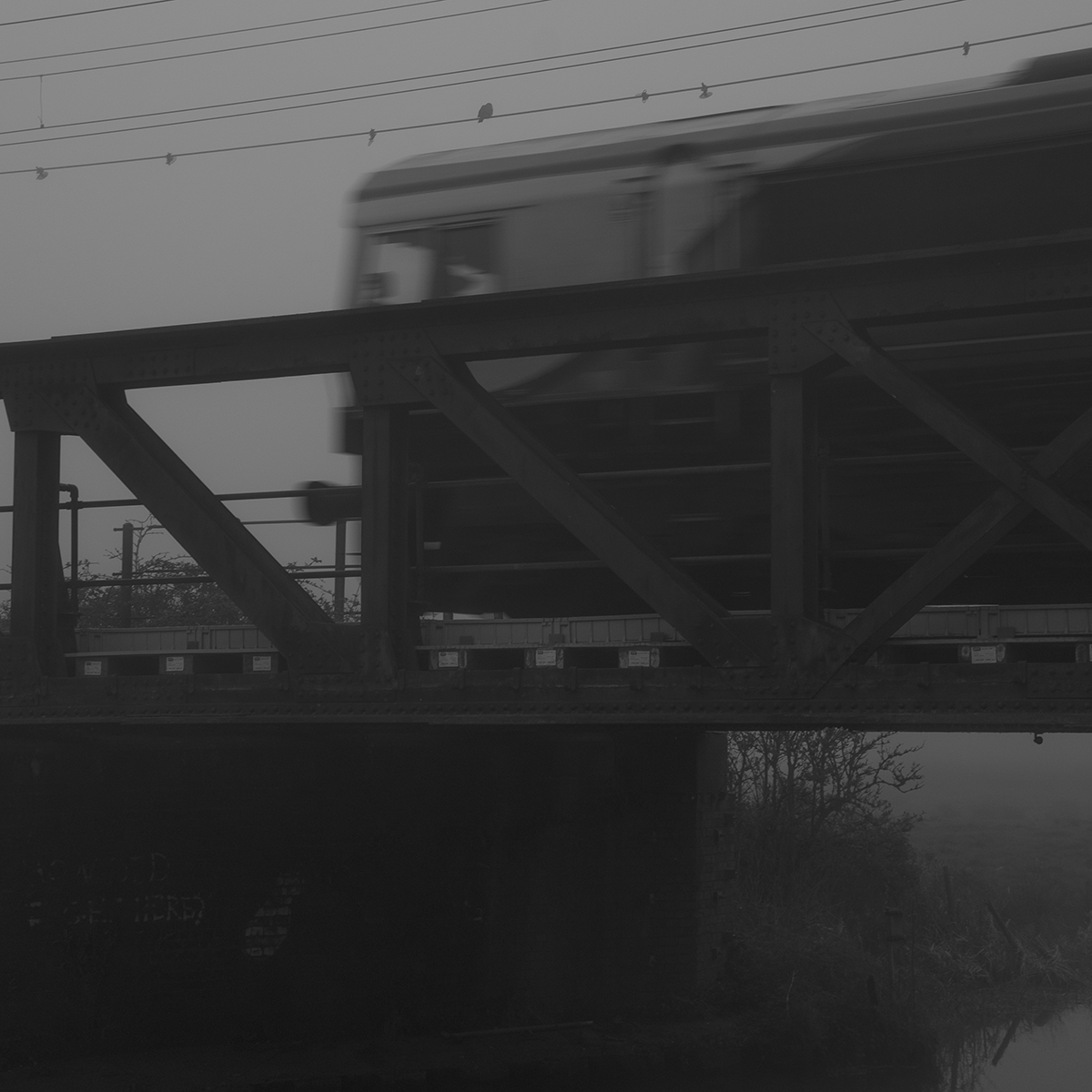 Train on Bridge link image