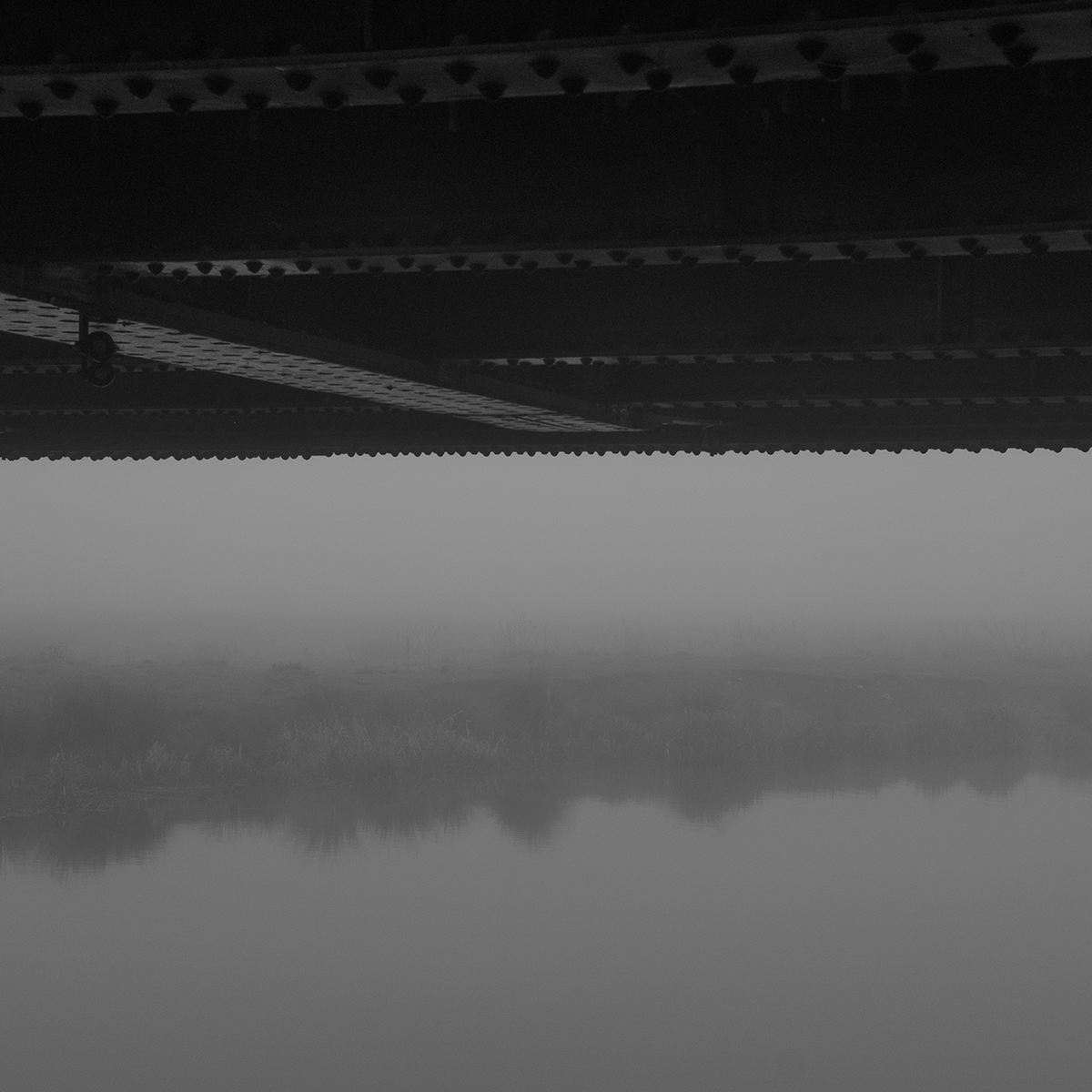 Under Bridge in the Mist link image