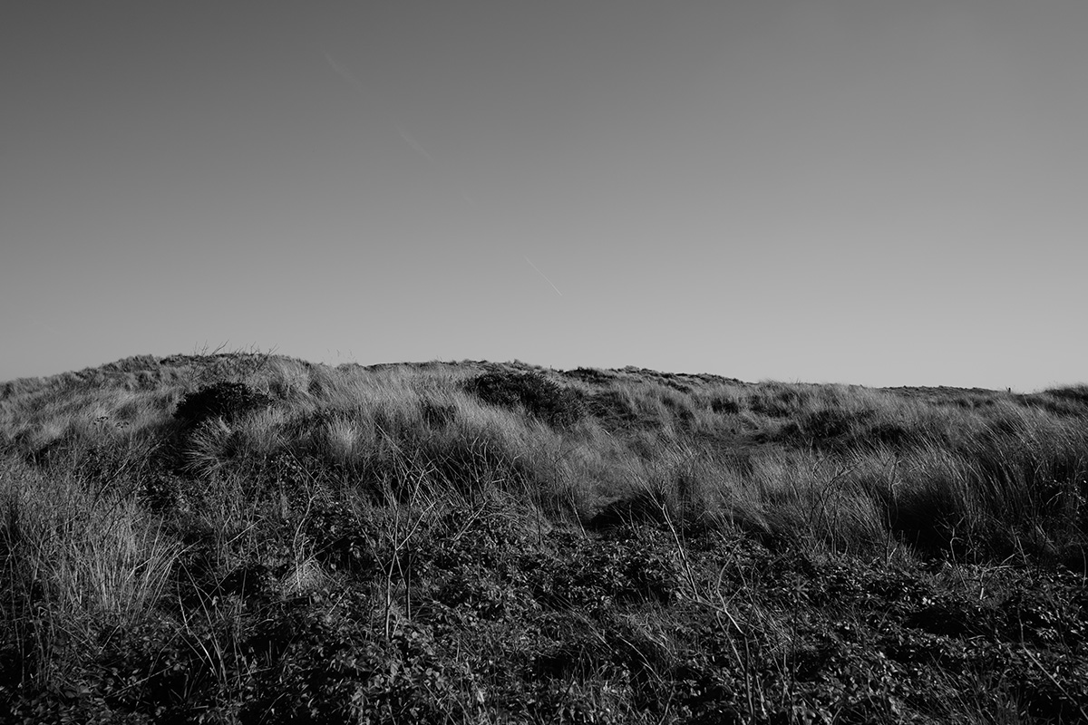 Sand Dunes 1 image