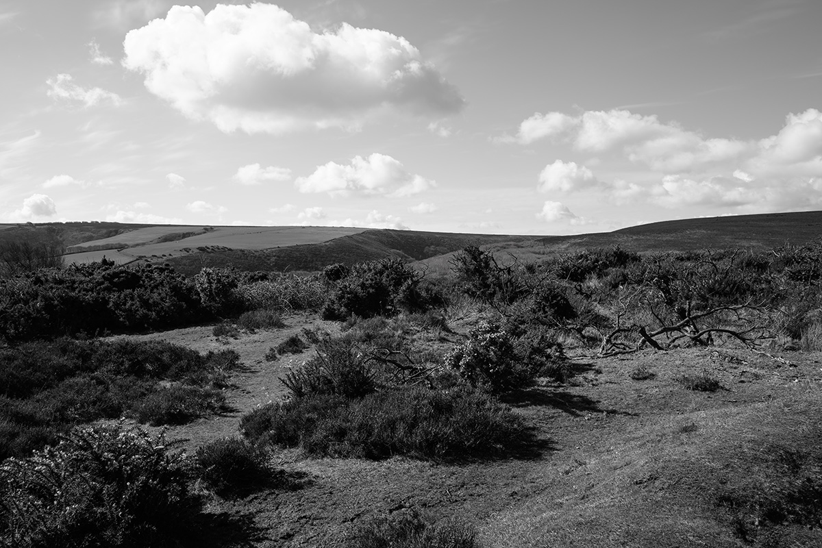 The Exmoor Landscape 2 image