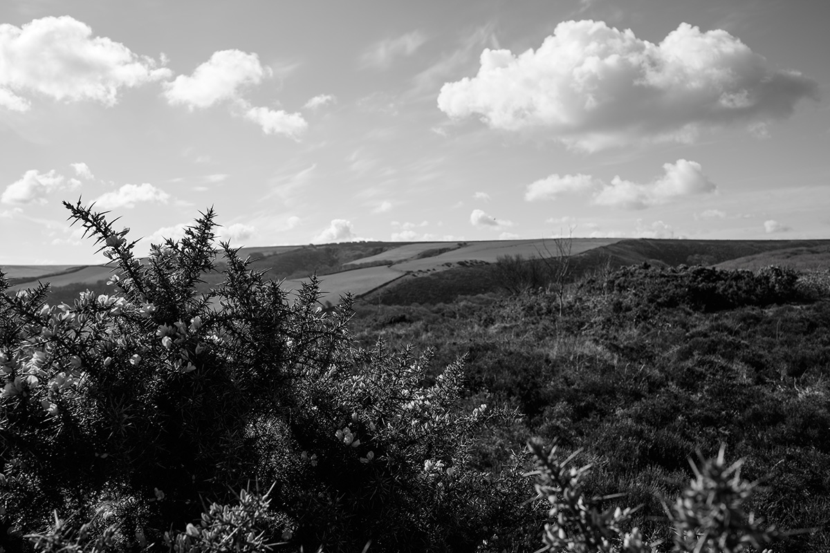 The Exmoor Landscape 4 image