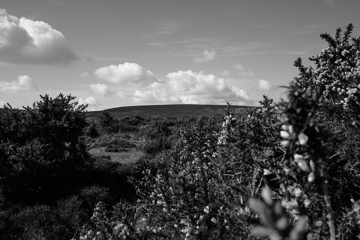 The Exmoor Landscape 7 image